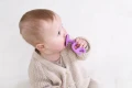 8100 Dancing Elephant teether toy purple 5 min.jpg
